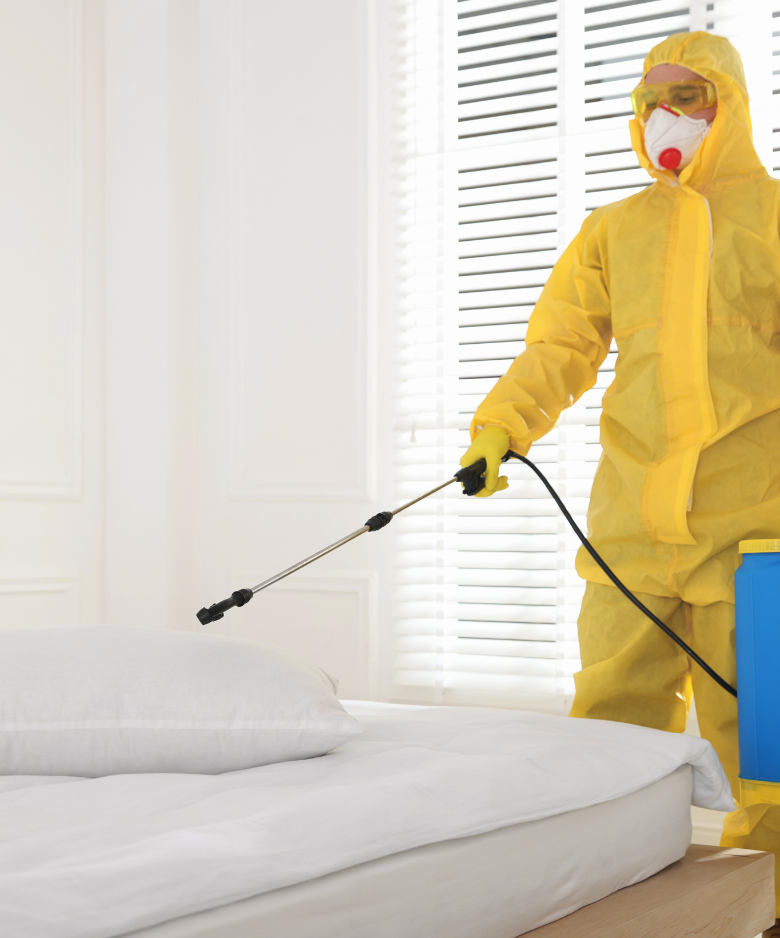 Professional Pest Control Team in Flinders Park